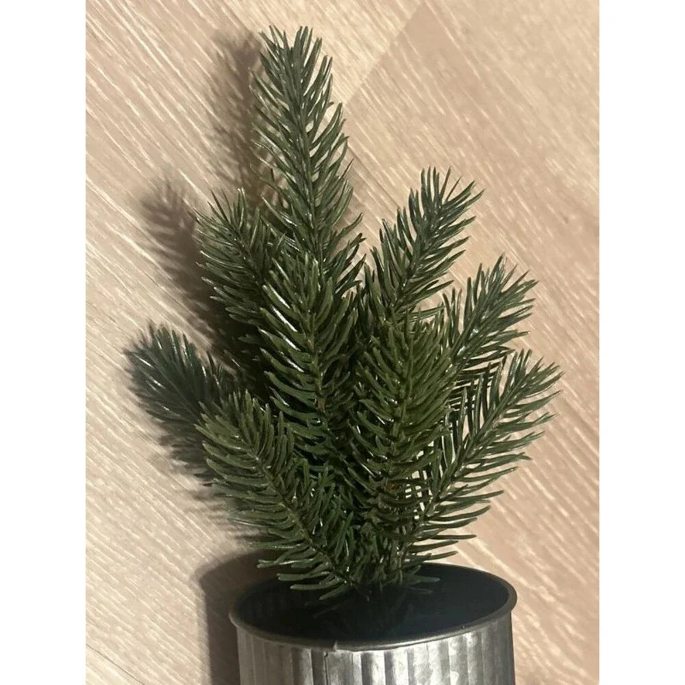Target Small Decrative Evergreen Tree